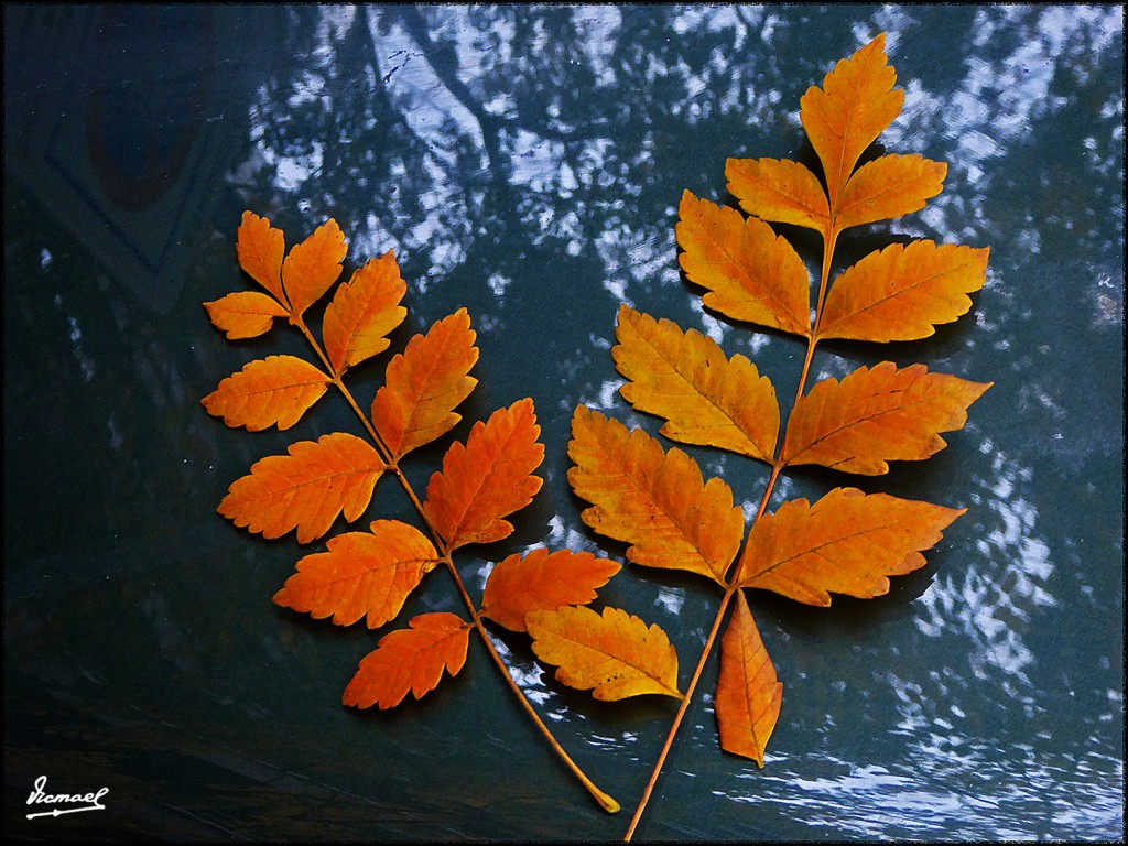 Foto: 161101-12 ZGZA  PLAZA SETIOS - Zaragoza (Aragón), España