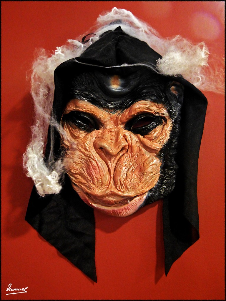 Foto: 161026-15 ZARAGOZA - Zaragoza (Aragón), España