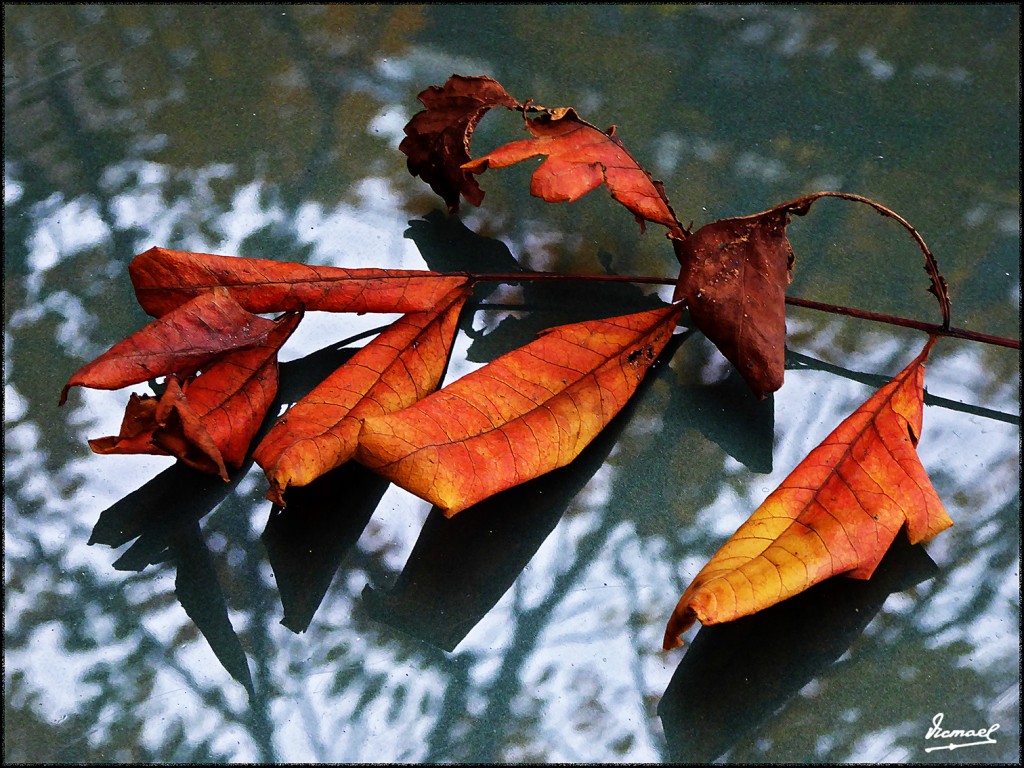 Foto: 161101-13 ZGZA  PLAZA SETIOS - Zaragoza (Aragón), España