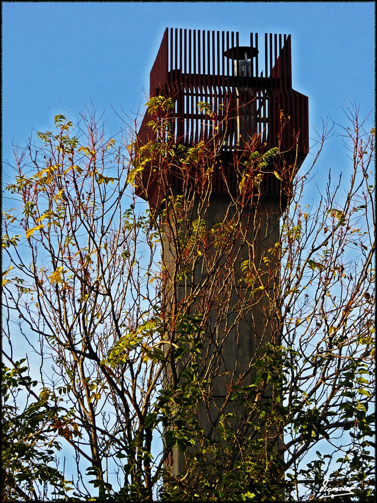 Foto: 161026-22 ZARAGOZA - Zaragoza (Aragón), España