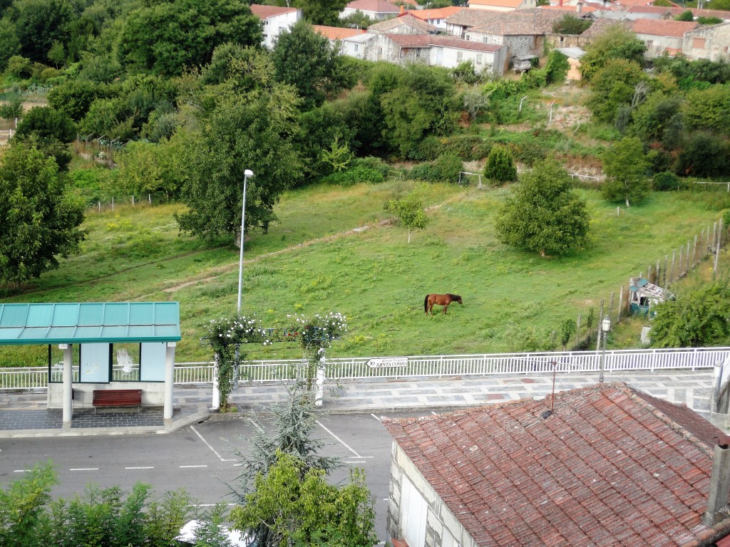 Foto: bande, ourense - Bande (Ourense), España
