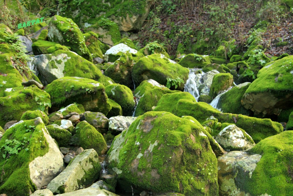 Foto de Cortes de la Frontera (Málaga), España