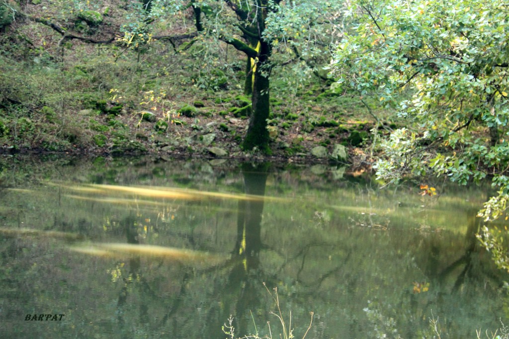 Foto de Cortes de la Frontera (Málaga), España