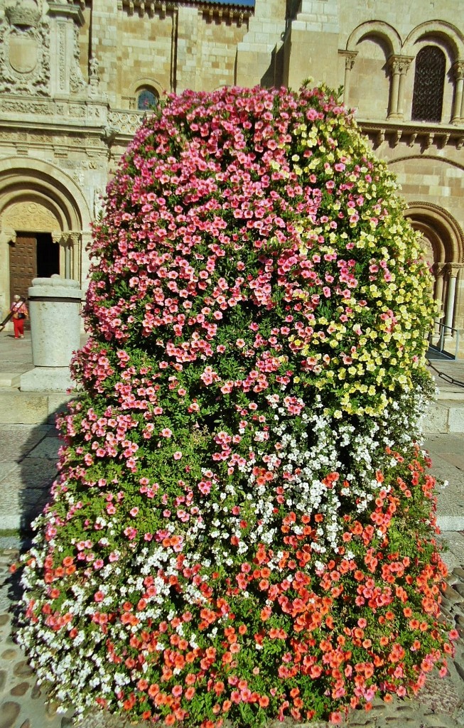 Foto: Centro histórico - León (Castilla y León), España
