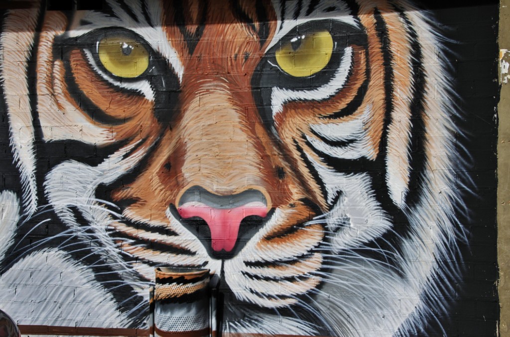 Foto: Mural - La Bañeza (León), España