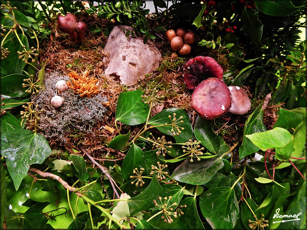 Foto: 161106-35 Exposicion De Setas - Zaragoza (Aragón), España