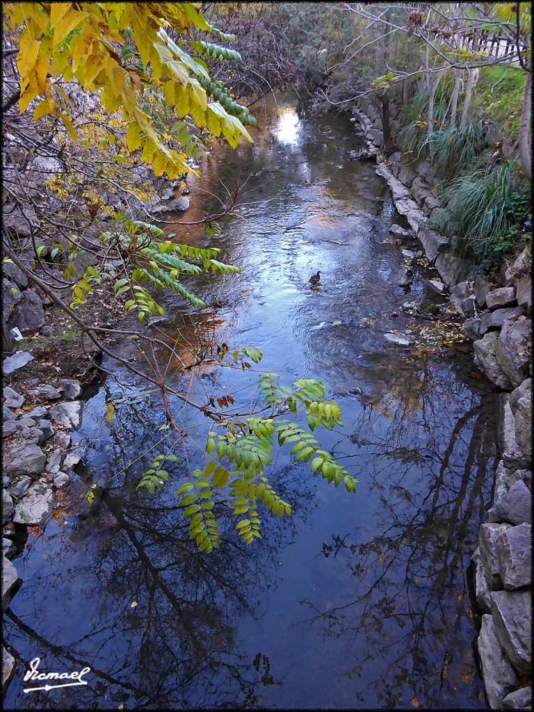 Foto: 161115-05 Zaragoza - Zaragoza (Aragón), España