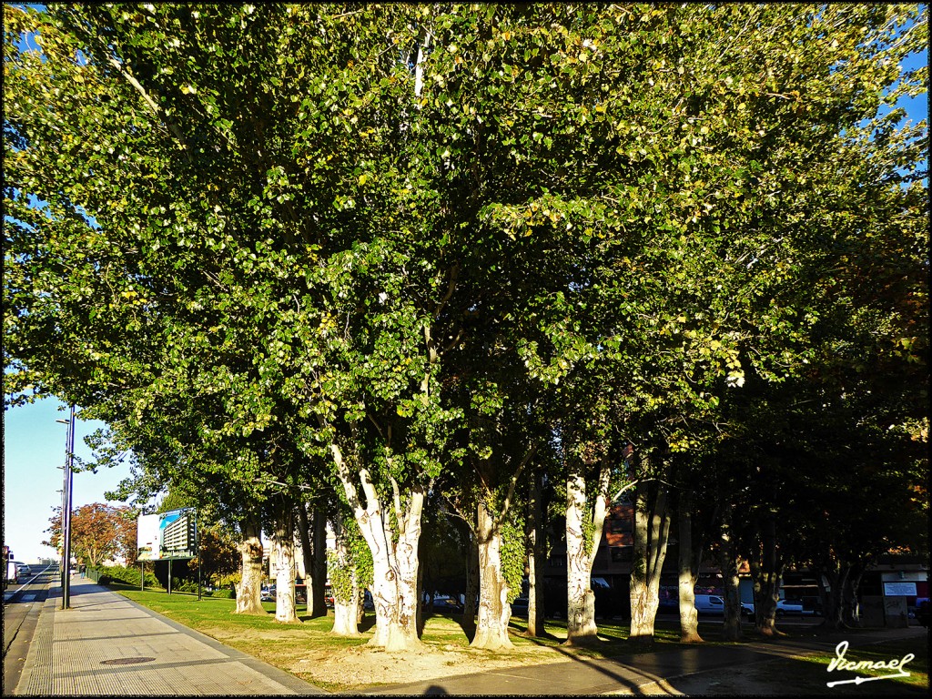 Foto: 161115-01 Zaragoza - Zaragoza (Aragón), España