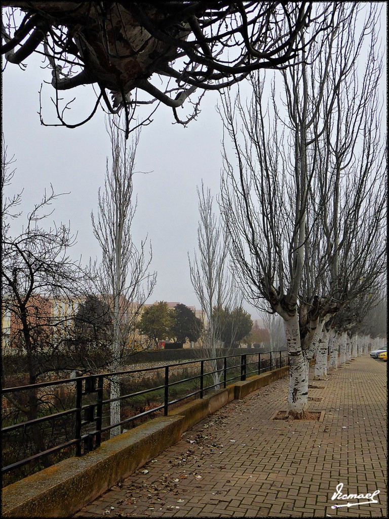 Foto: 161203-06 Arcos De Jalon - Arcos De Jalon (Soria), España