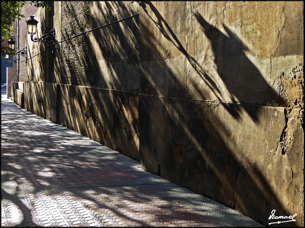 Foto: 161206-67 Zgoza Sta Engracia - Zaragoza (Aragón), España