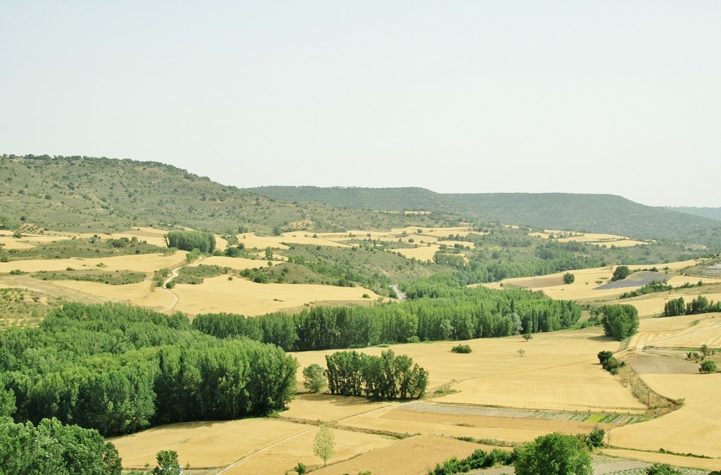 Foto: Vistas desde el pueblo - Brihuega (Guadalajara), España