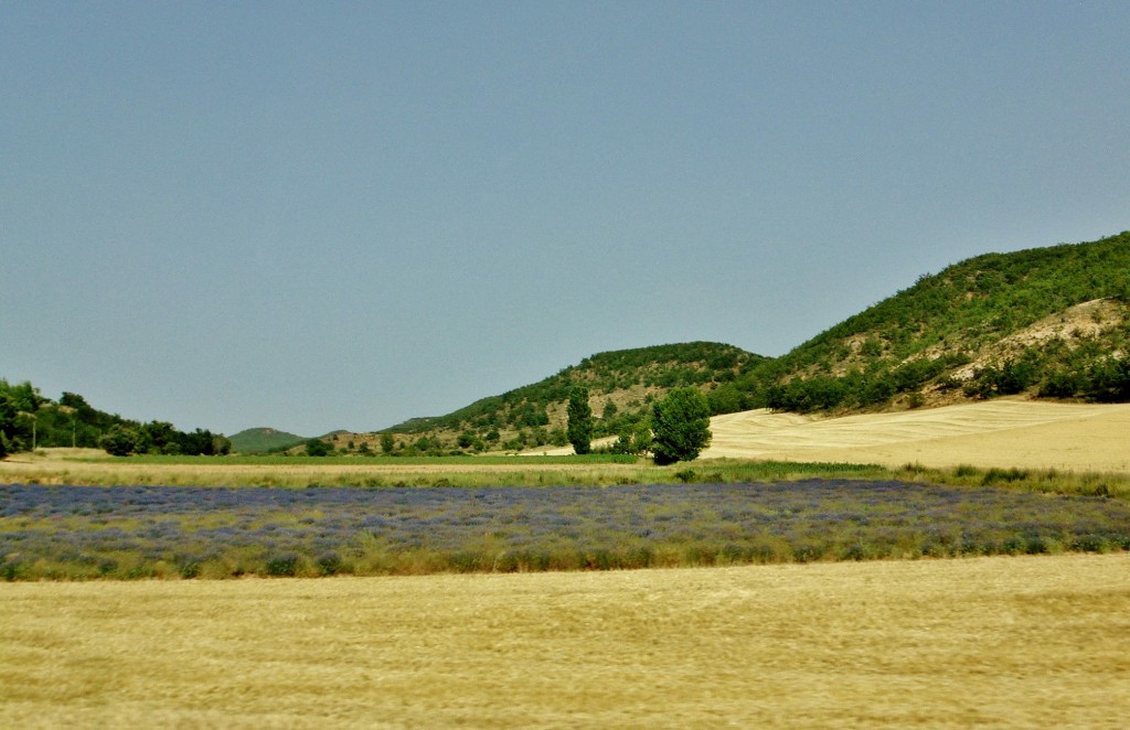 Foto: Paisaje - Brihuega (Guadalajara), España
