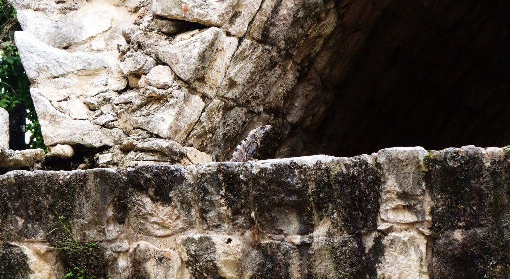 Foto: Yacimiento Arqueológico Chichén Itzá - Tinum (Yucatán), México