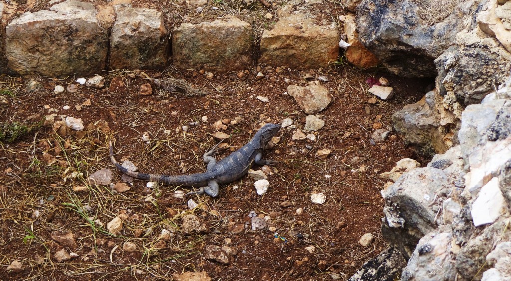 Foto: Yacimiento Arqueológico Chichén Itzá - Tinum (Yucatán), México