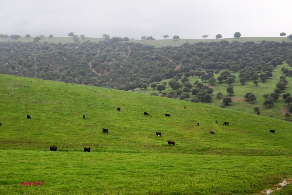 Foto de San José del Valle (Cádiz), España