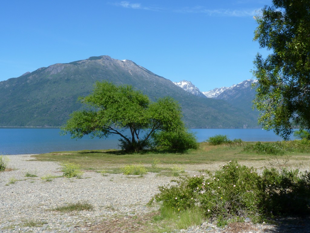 Foto de Lago Puelo (Chubut), Argentina