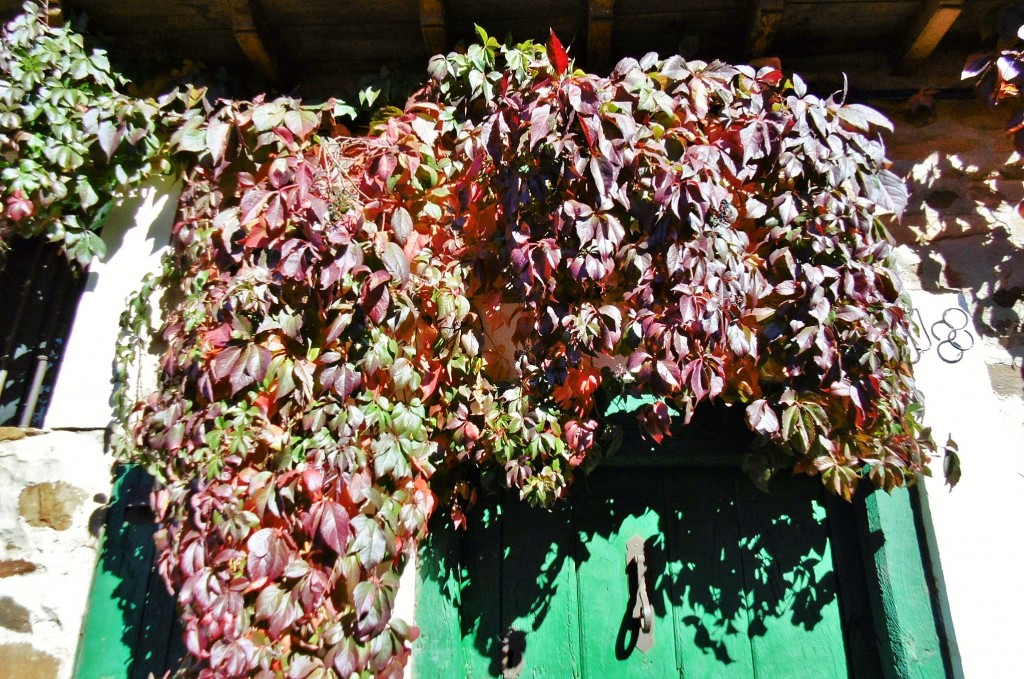 Foto: Centro histórico - Castrillo de los Polvazares (León), España