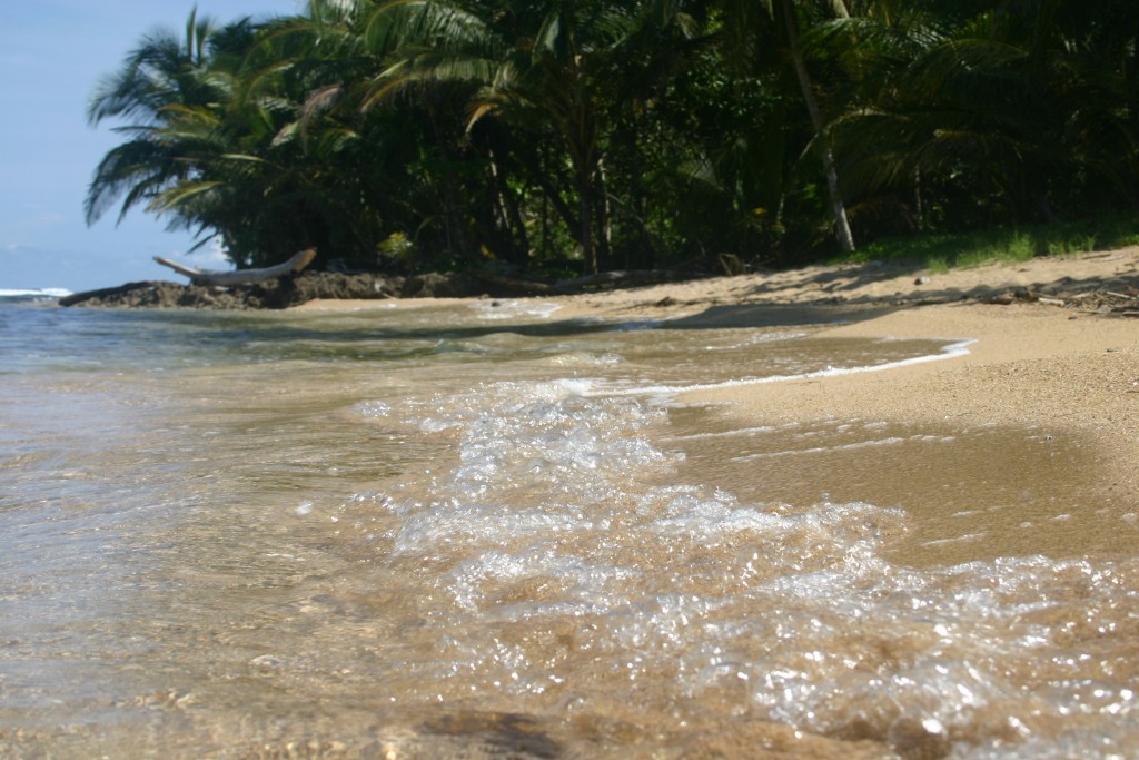 Foto de Puerto Viejo de Talamanca (Limón), Costa Rica