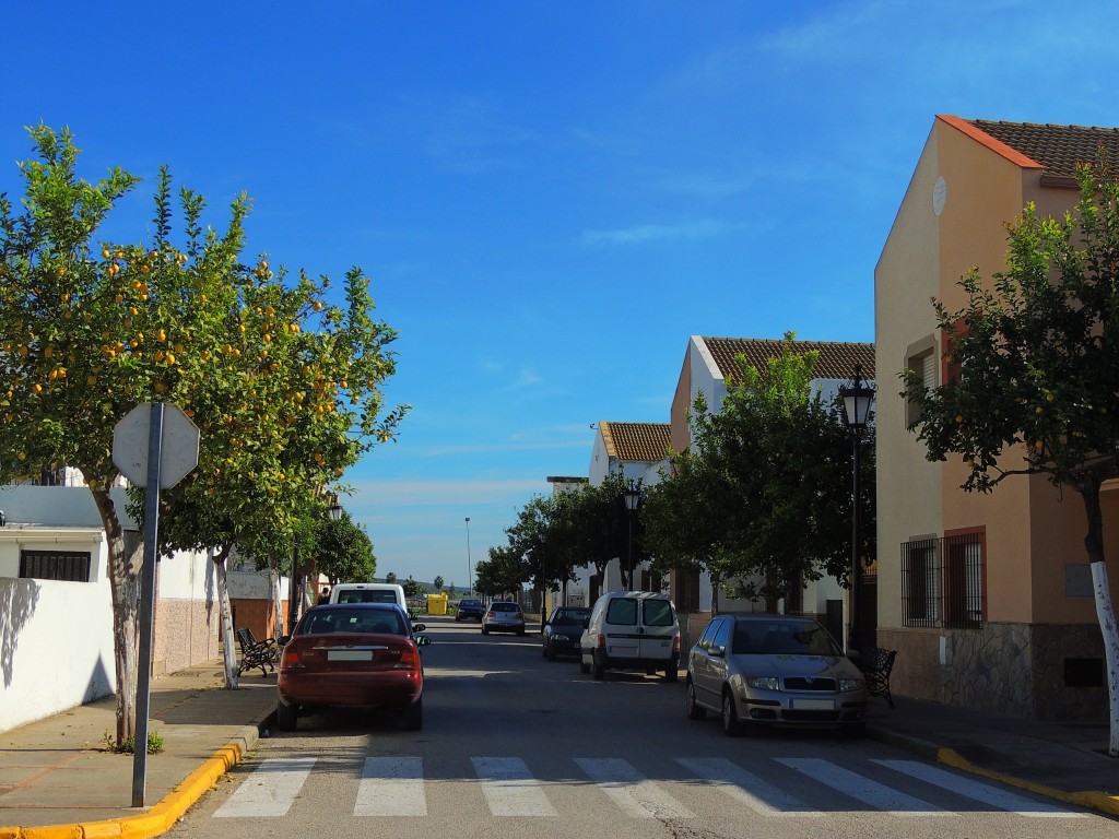 Foto de Nueva Jarila (Cádiz), España