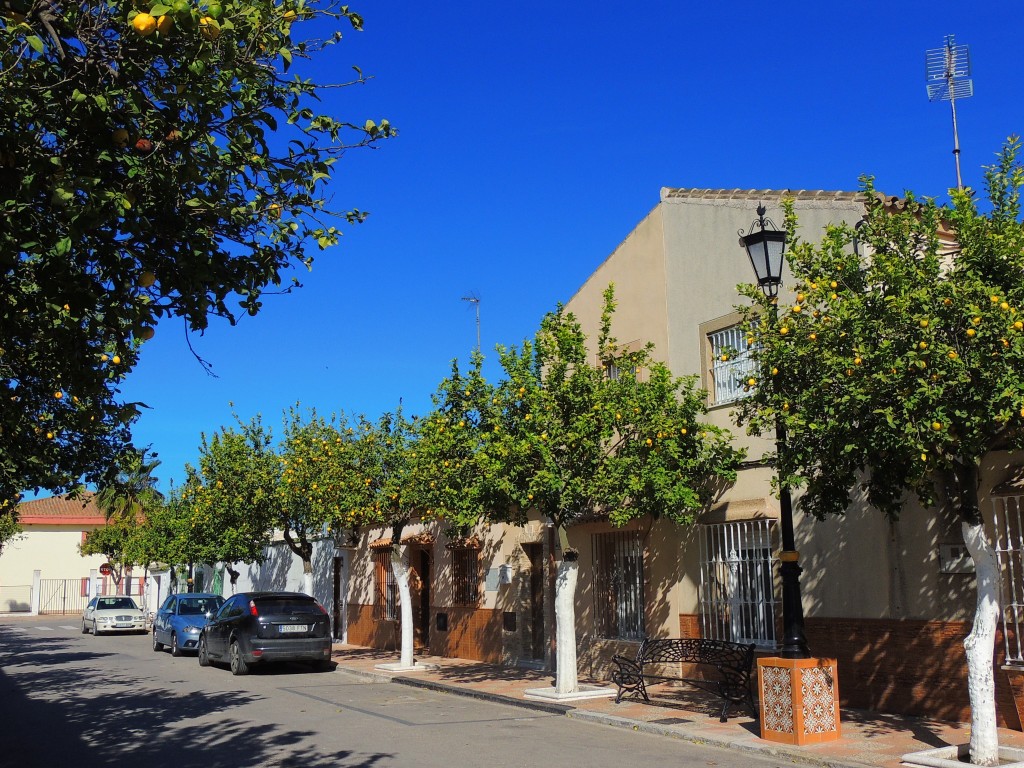 Foto de Nueva Jarilla (Cádiz), España