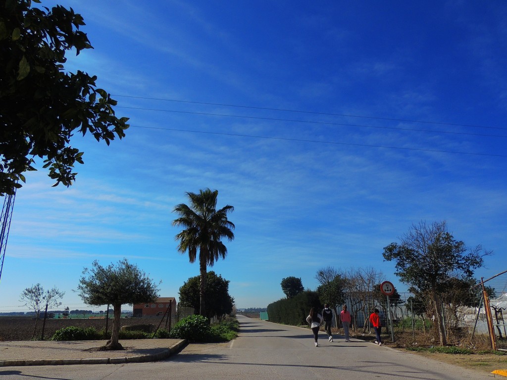 Foto de Nueva Jarilla (Cádiz), España