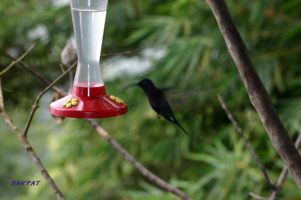Foto de San José, Costa Rica