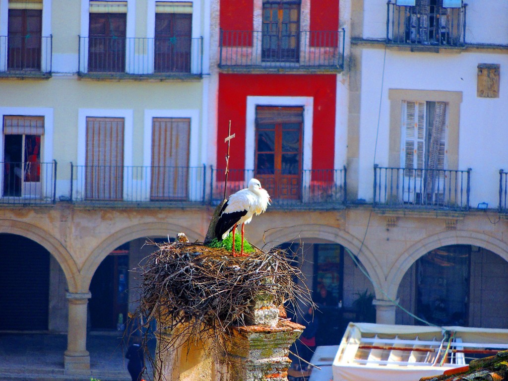 Foto de Trujillo (Cáceres), España