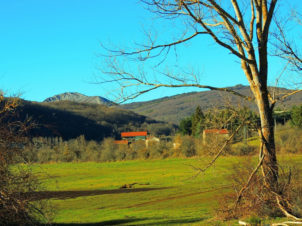 Foto de San Salvador de Cantamuda (Palencia), España
