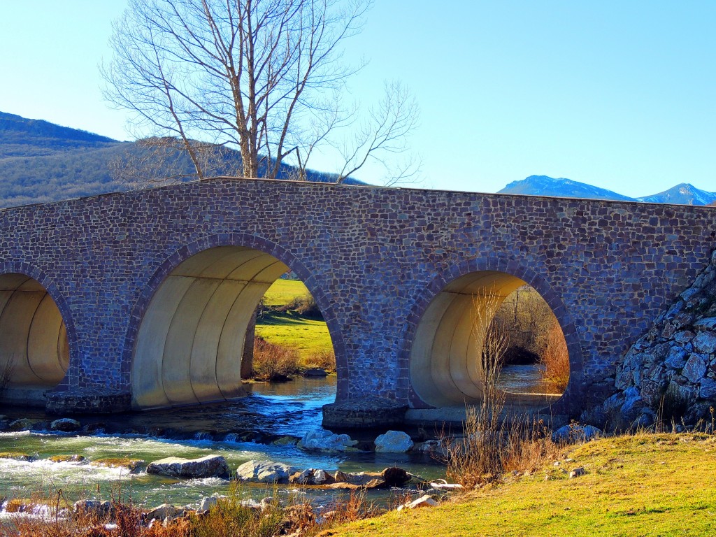 Foto de San Salvador de Cantamuda (Palencia), España