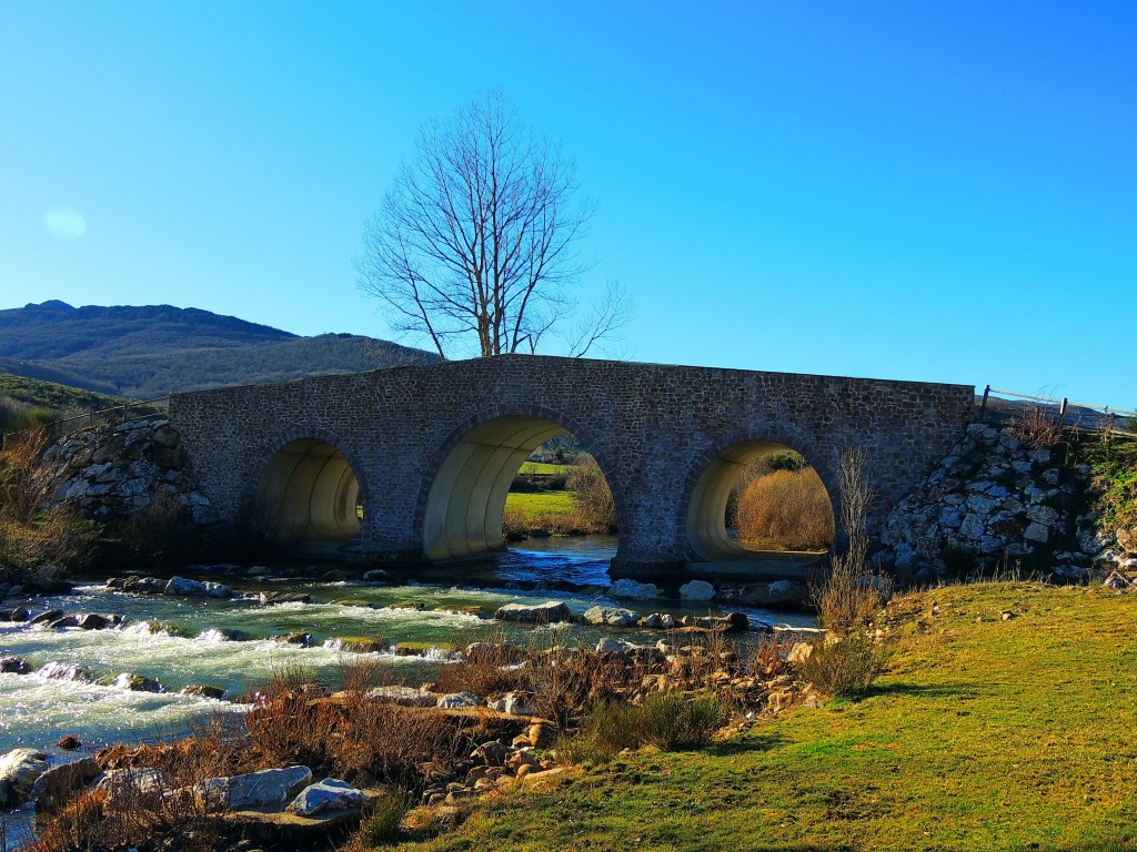 Foto de San Salvador de Cantamuda (Palencia), España