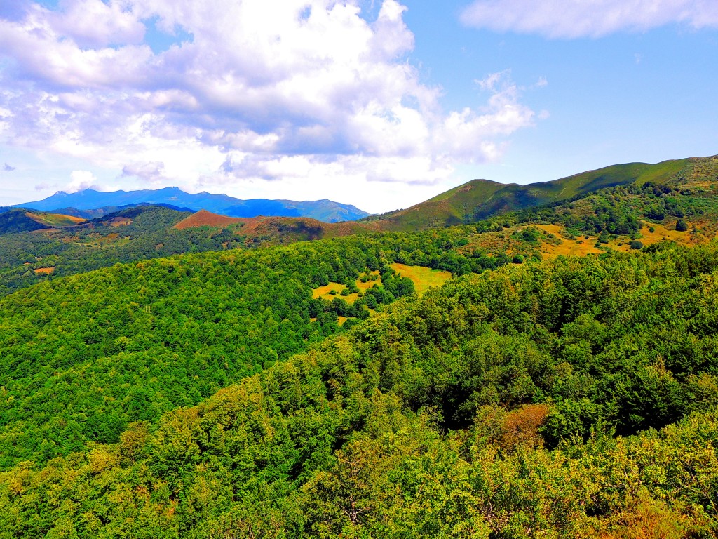 Foto de Piedrasluengas (Palencia), España