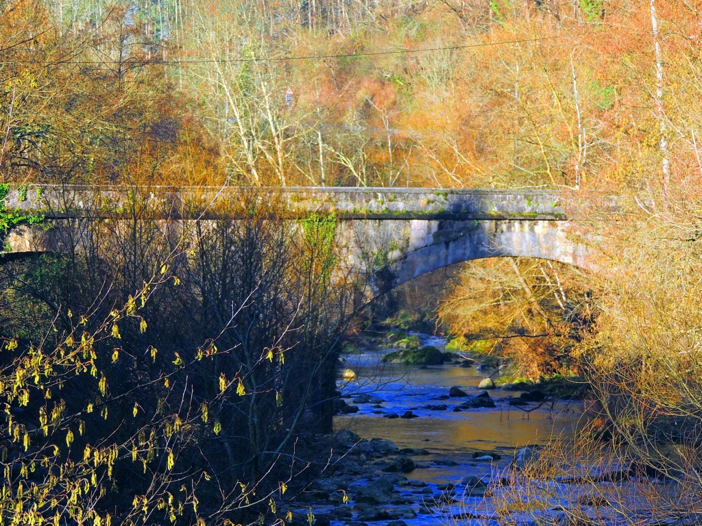 Foto de Puentenansa (Cantabria), España