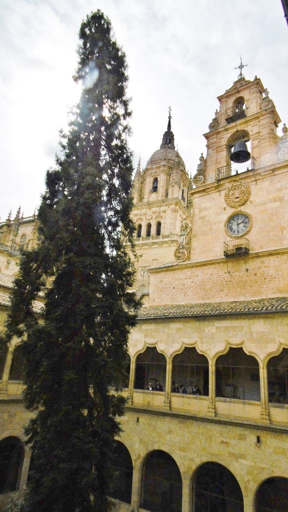 Foto: Universidad - Salamanca (Castilla y León), España