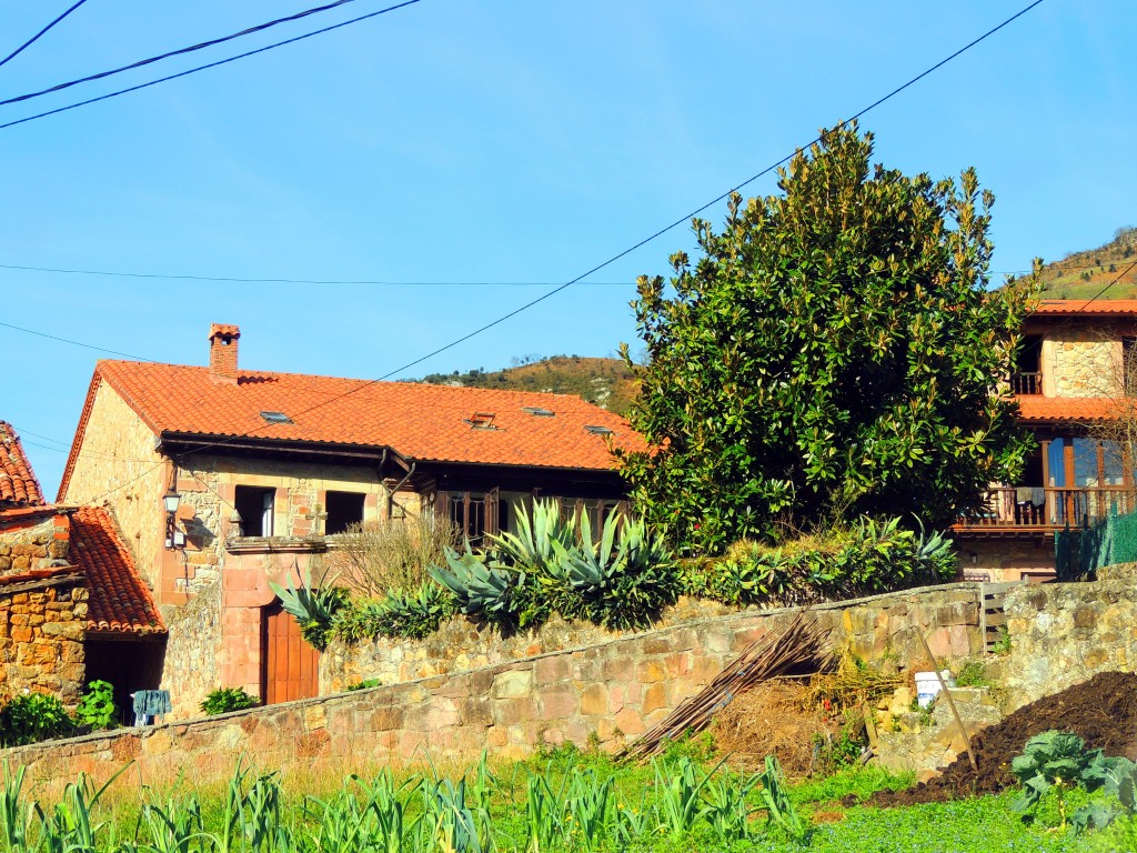 Foto de Celis (Cantabria), España