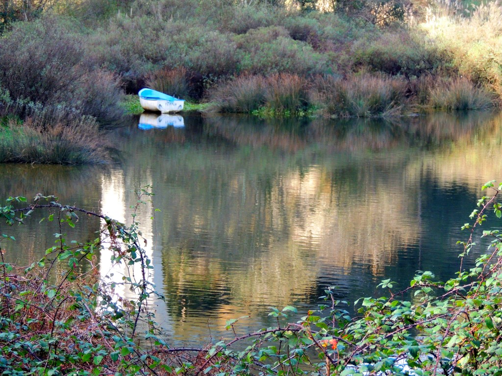 Foto de Pesués (Cantabria), España