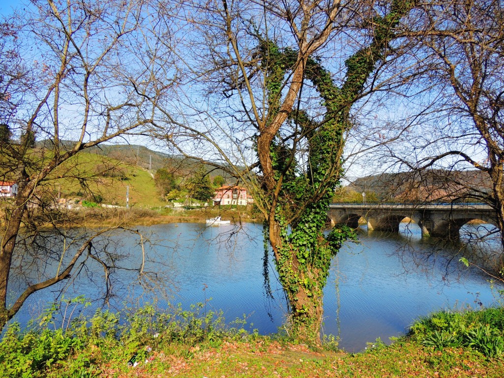 Foto de Pesué (Cantabria), España