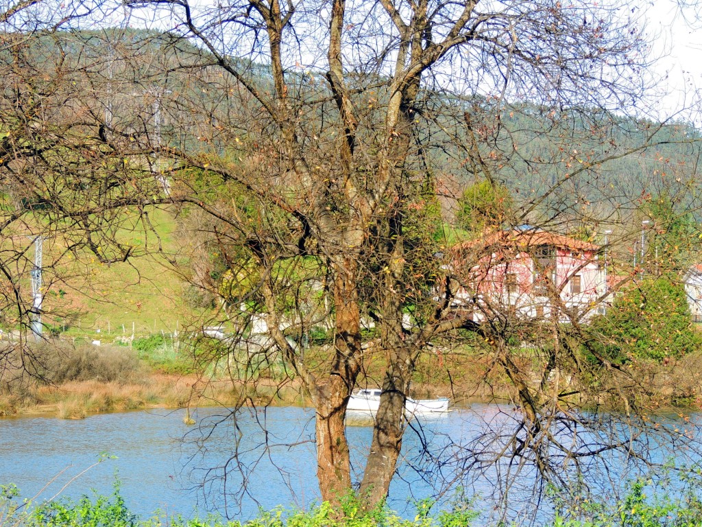 Foto de Pesué (Cantabria), España