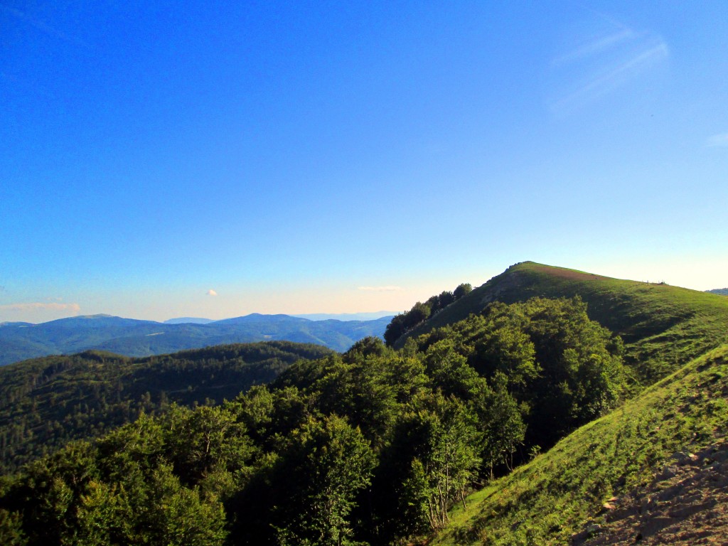 Foto de Izalzu (Navarra), España