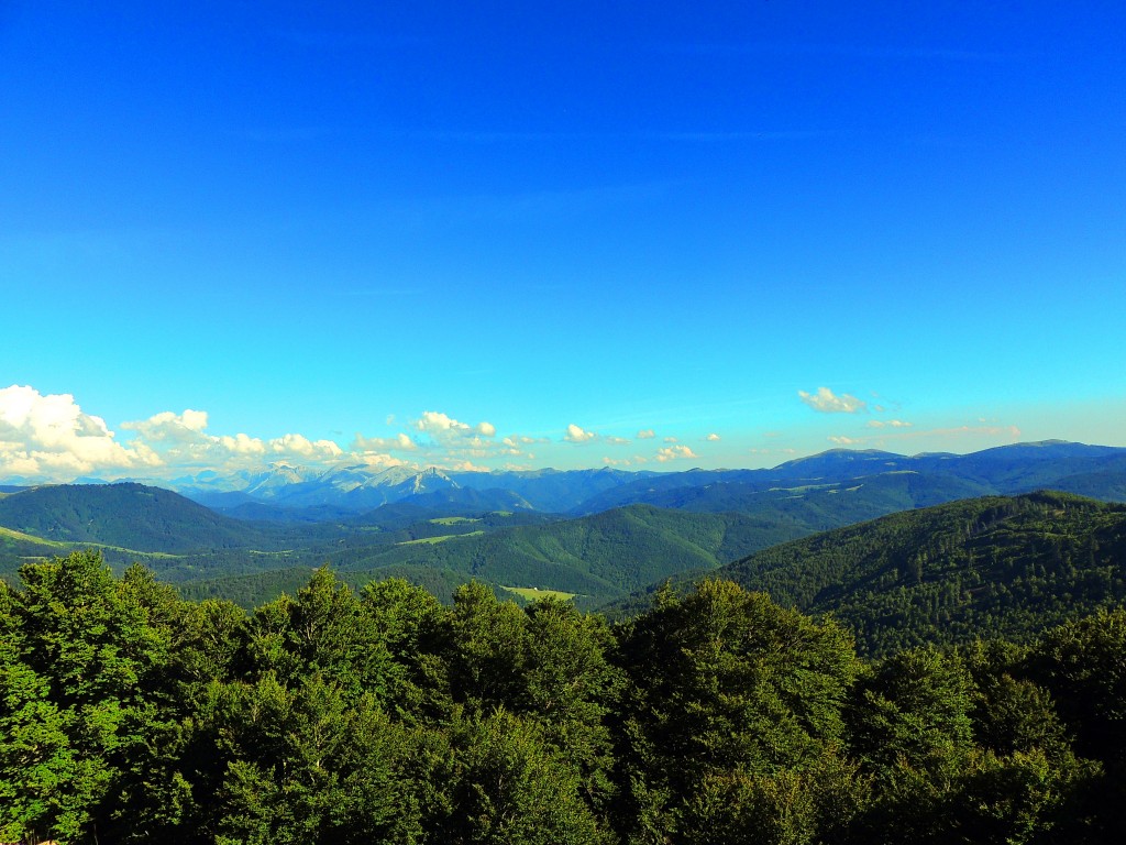 Foto de Izalzu (Navarra), España