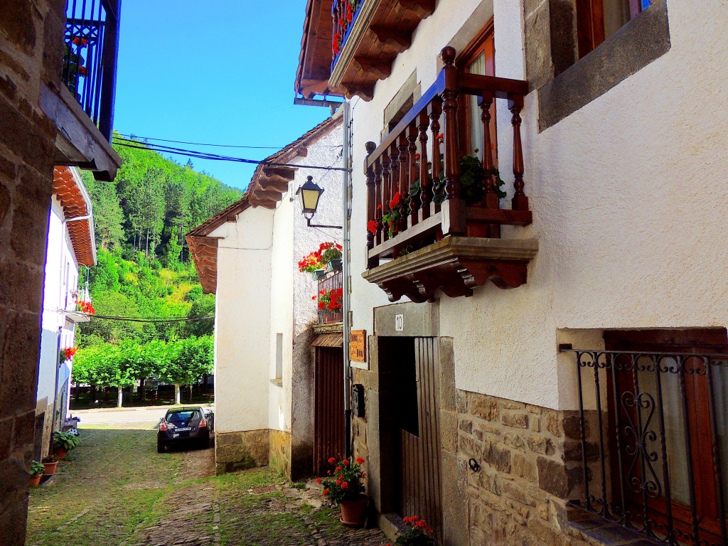 Foto de Izalzu (Navarra), España