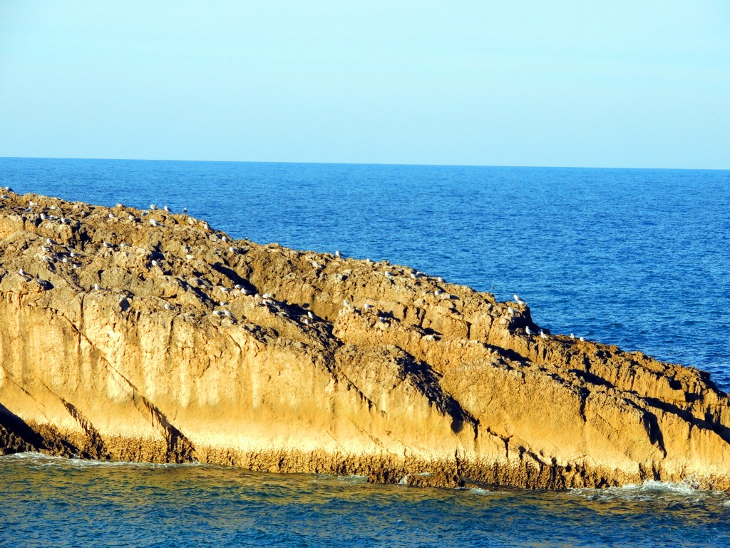 Foto de Llanes (Asturias), España