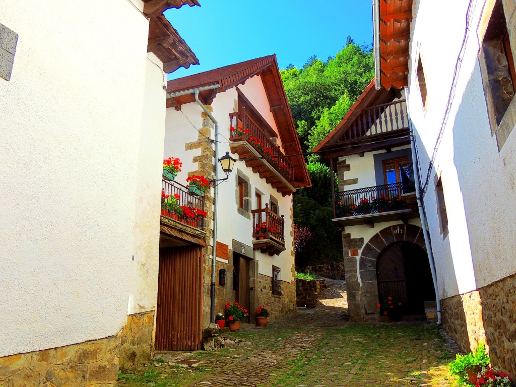 Foto de Izalzu (Navarra), España