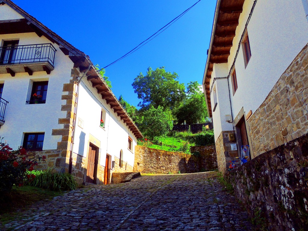 Foto de Izalzu (Navarra), España