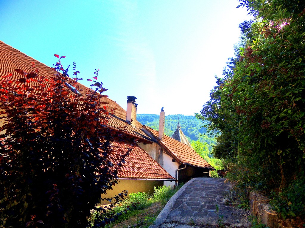 Foto de Izalzu (Navarra), España