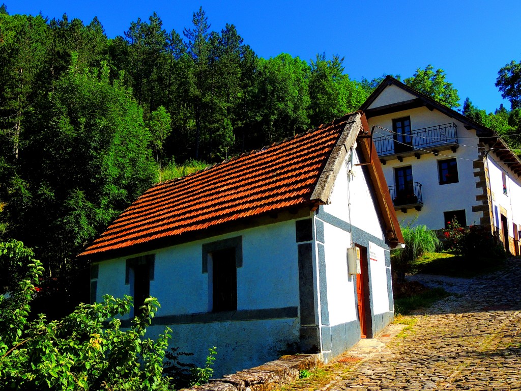 Foto de Izalzu (Navarra), España