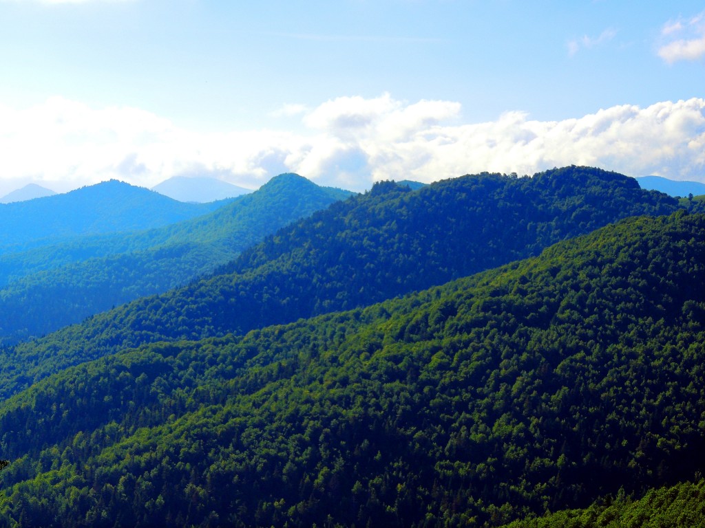 Foto de Izalzu (Navarra), España
