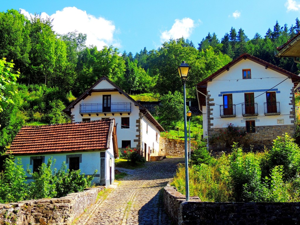 Foto de Izalzu (Navarra), España