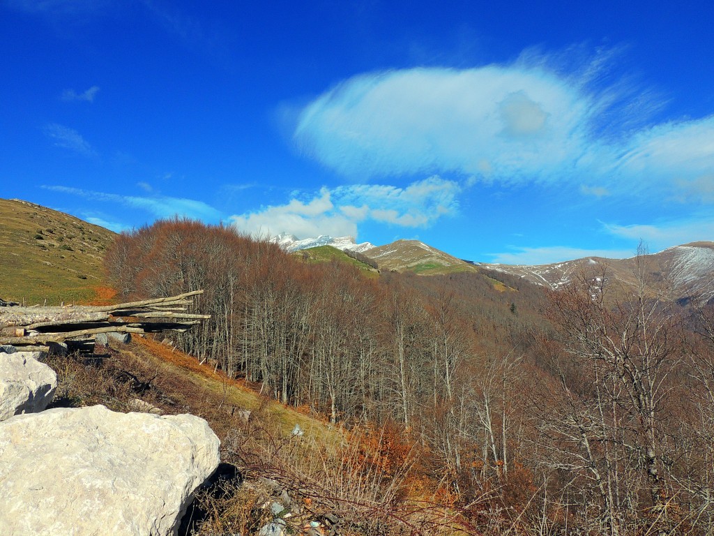 Foto de Izalzu (Navarra), España