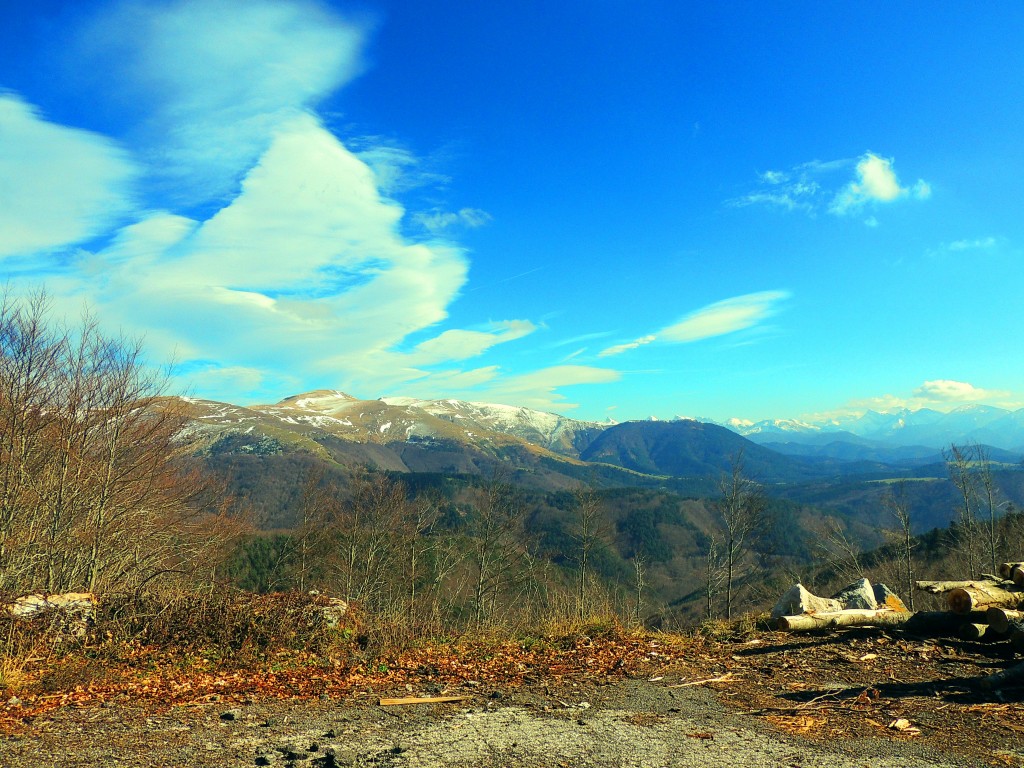 Foto de Izalzu (Navarra), España