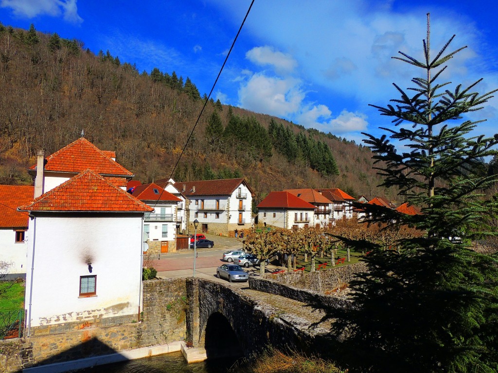 Foto de Izalzu (Navarra), España